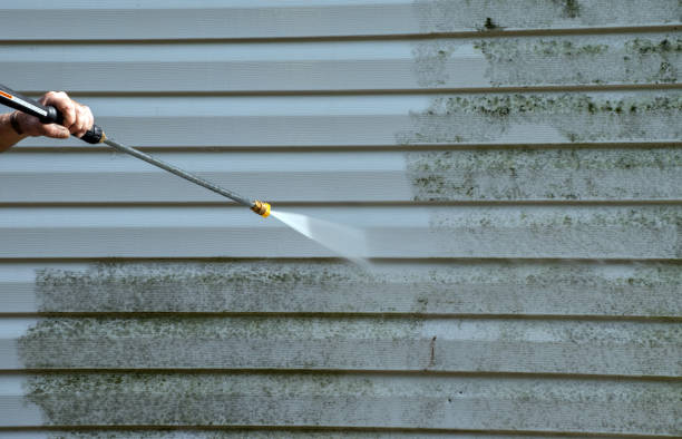 Best Mold Remediation for Specific Building Types in Ashland, OR