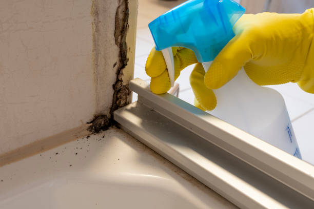  Ashland, OR Mold Removal Pros